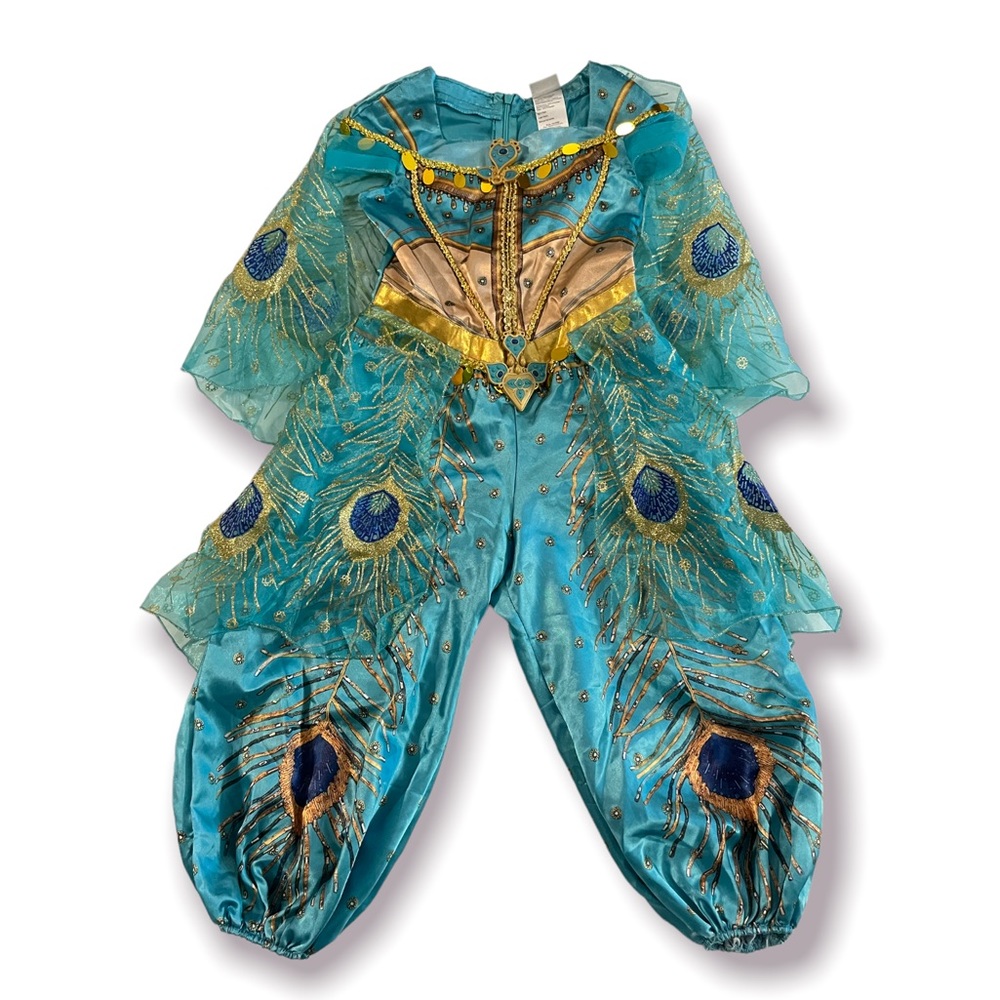 Jasmine Costume & Shoes